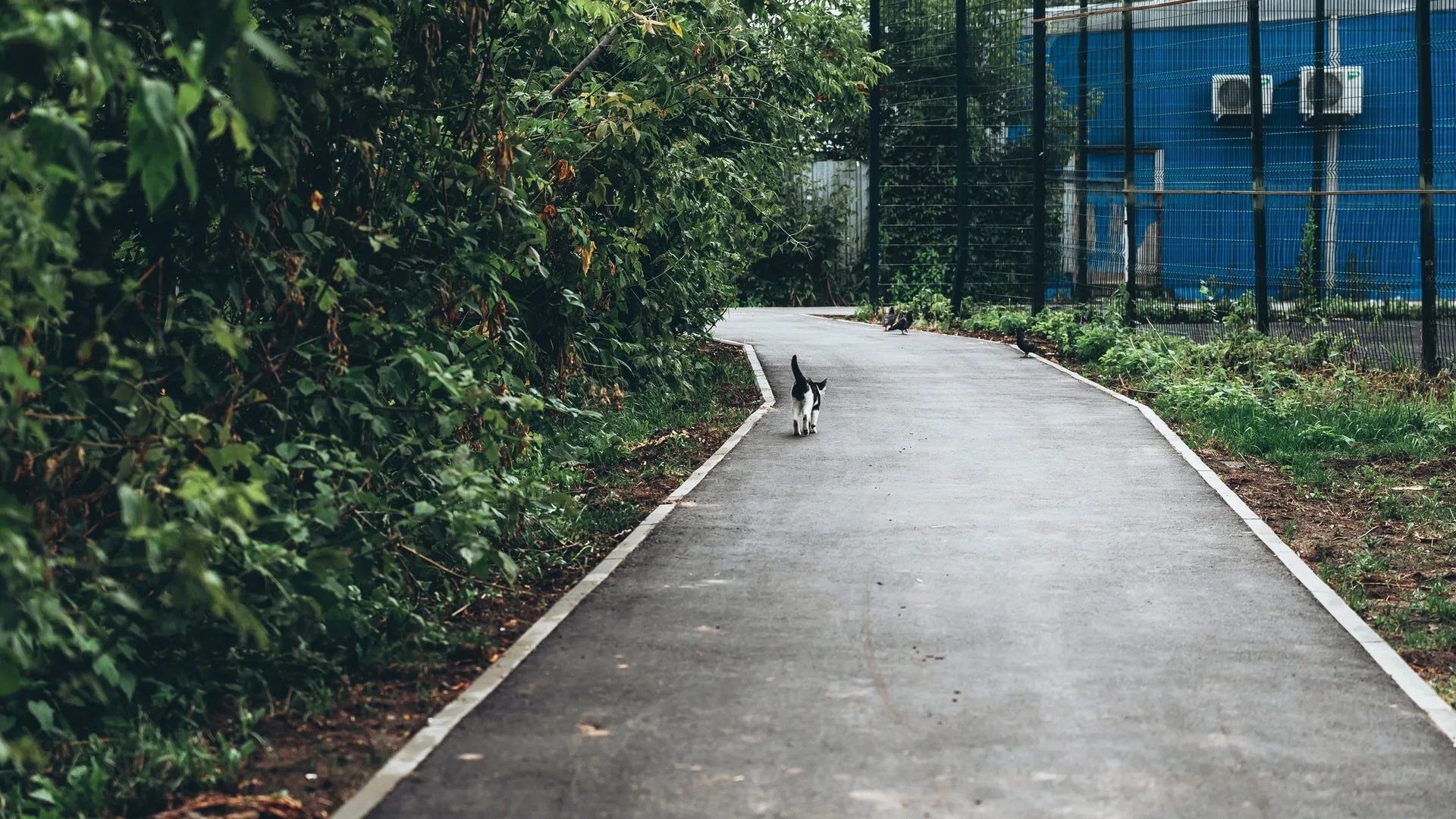 Фото: пресс-служба администрации г.о. Щелково