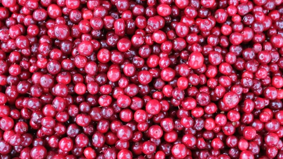 Фото: unsplash.com