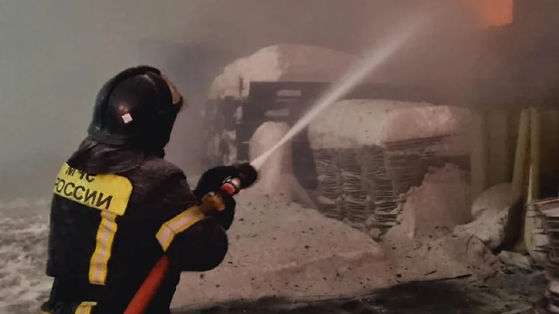 Фото: МедиаБанк Подмосковья/Ольга Егиян