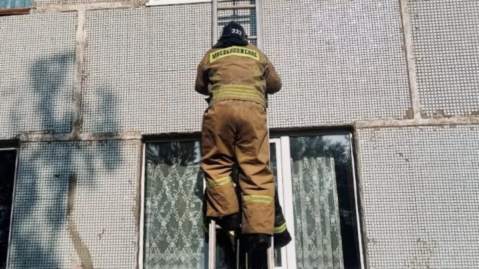 Фото: ГКУ МО «Мособлпожспас»