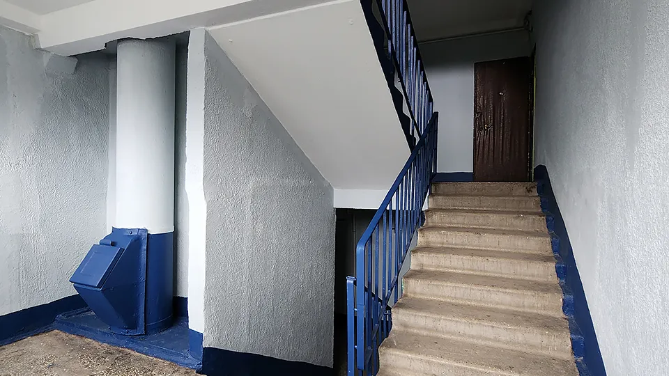 Фото: МедиаБанк Подмосковья/Валерия Тингаева