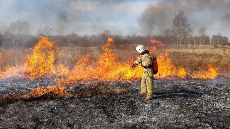 Фото: ГКУ МО «Мособлпожспас»