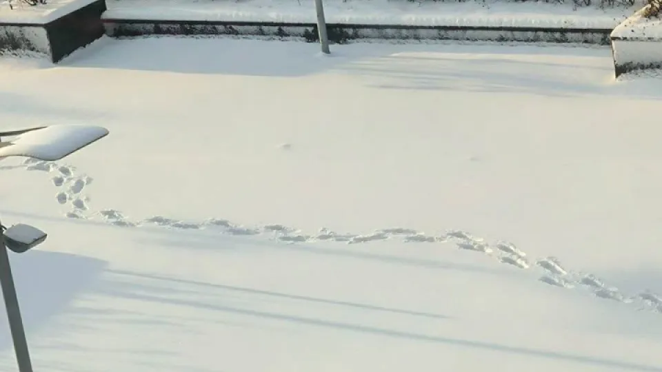 Фото: REGIONS/Роман Малышенко