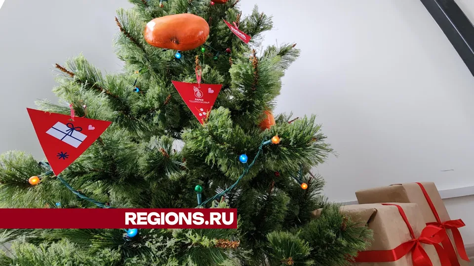 Фото: Юлия Андросова