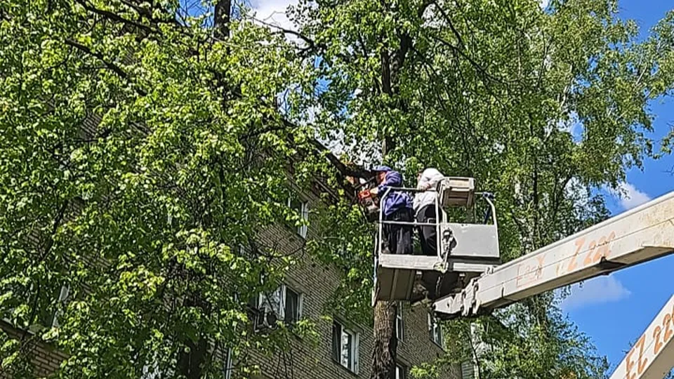 Фото: МедиаБанк Подмосковья/Ольга Шеметова
