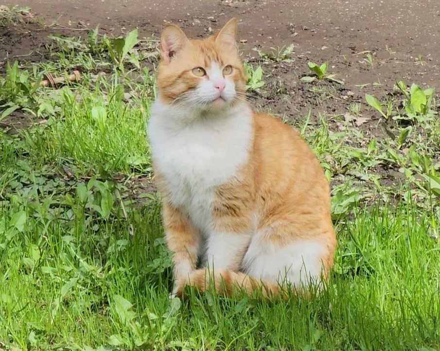 Фото: Екатерина Данилина