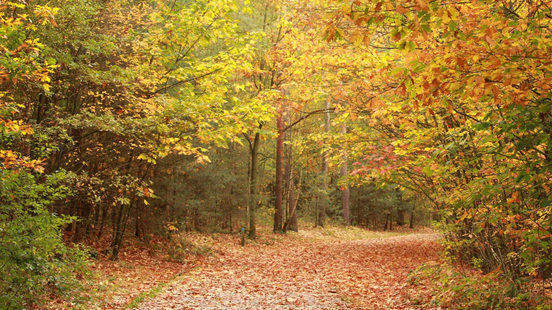 Изображение от wirestock на Freepik