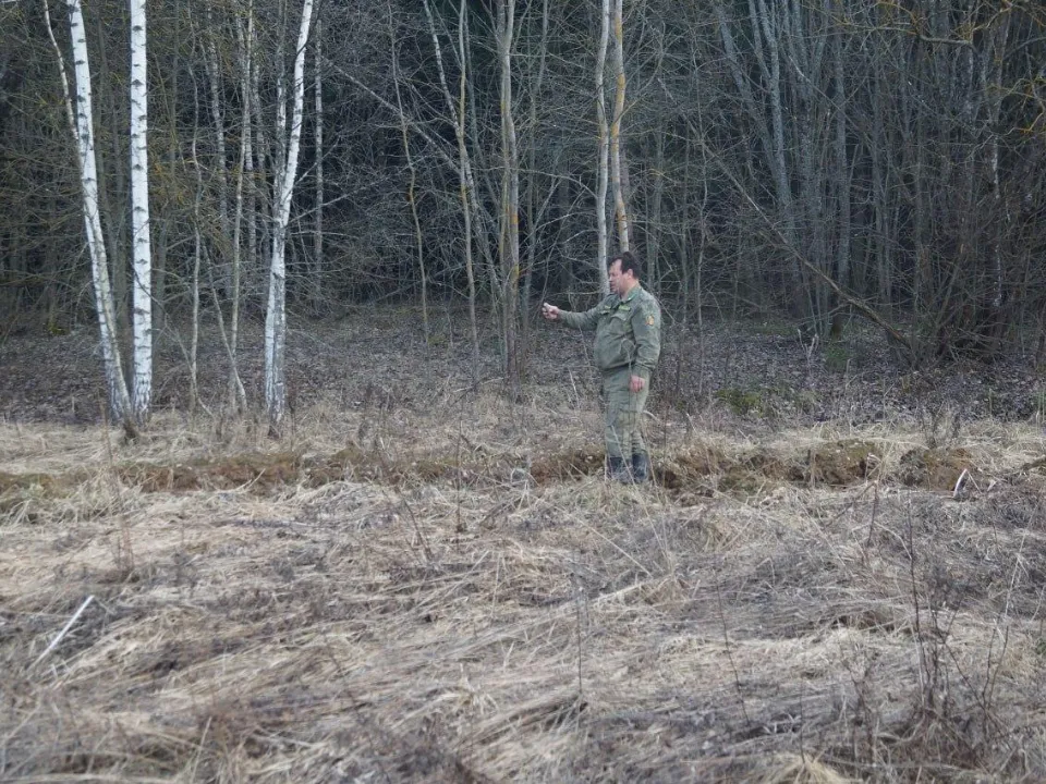 Фото: Комитет лесного хозяйства Московской области