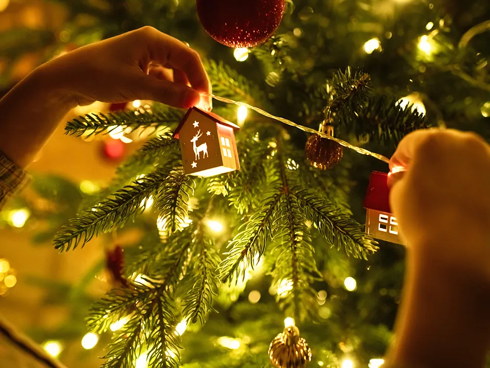 Фото: istockphoto.com/ArtMarie