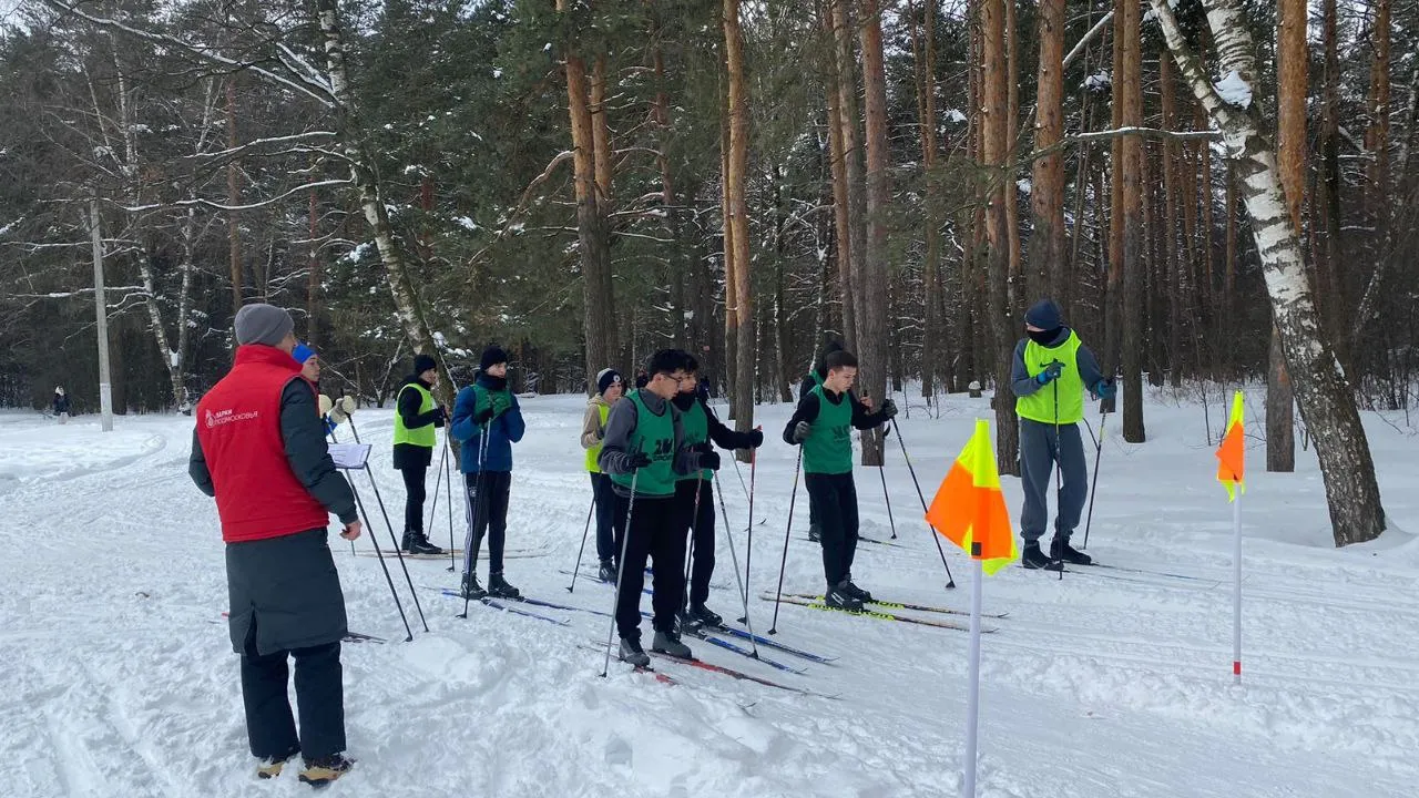 Фото: t.me/kuz_les