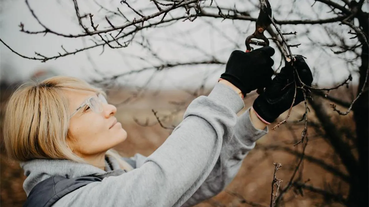 istockphoto.com/matrixnis