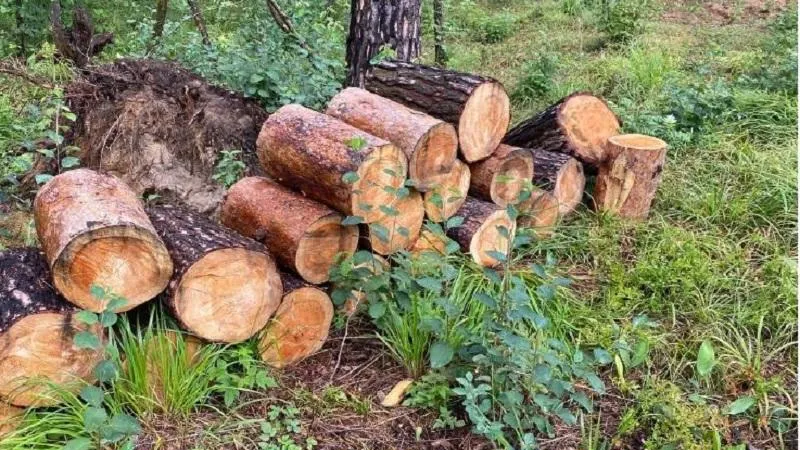 Минэкологии МО.