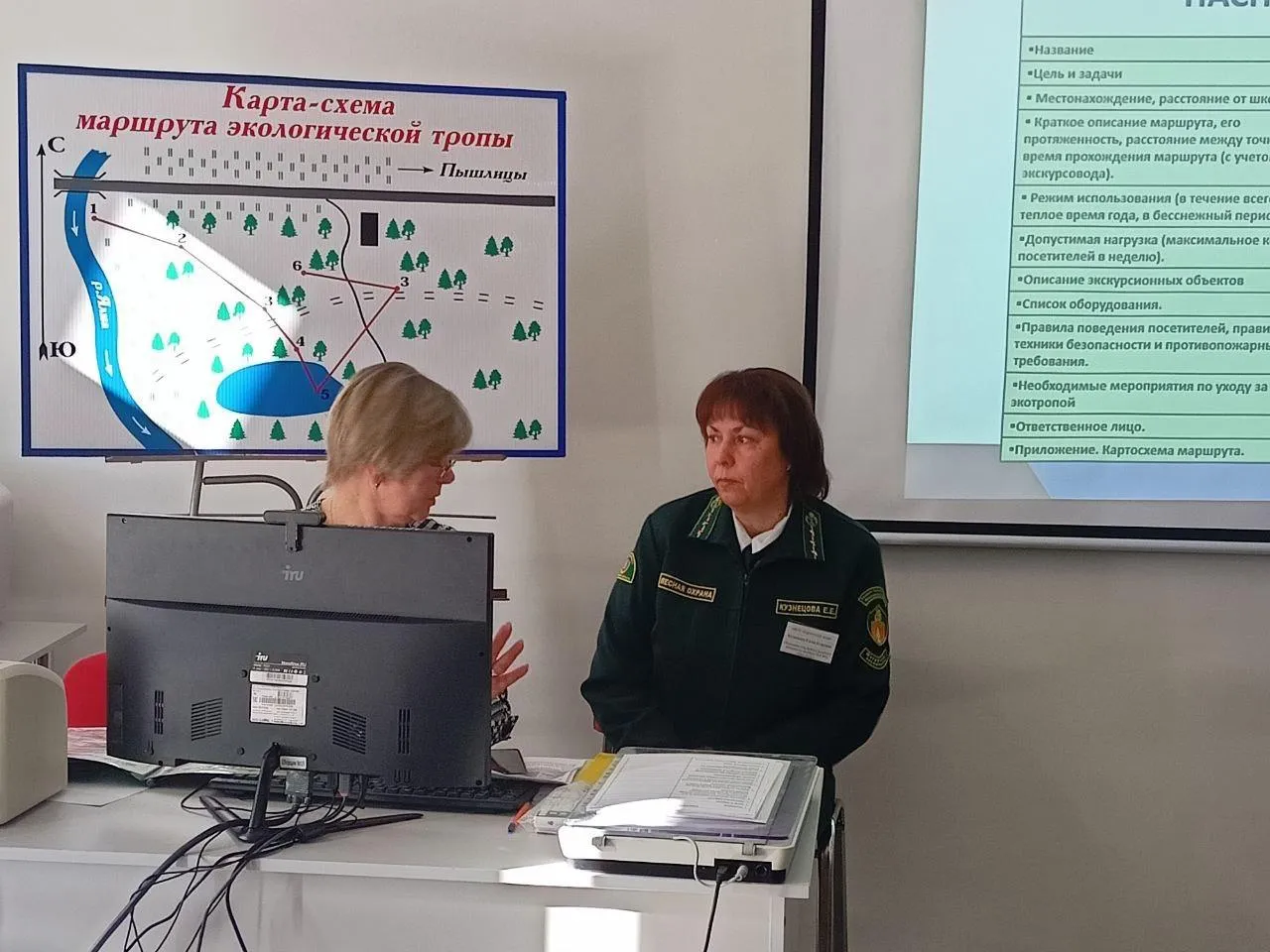 Фото: Комитет лесного хозяйства Московской области