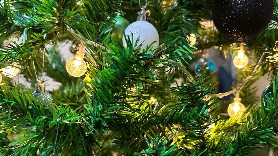 фото: А.Серова