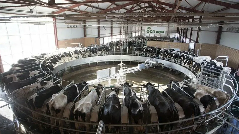 Фото: пресс-служба губернатора и правительства Московской области