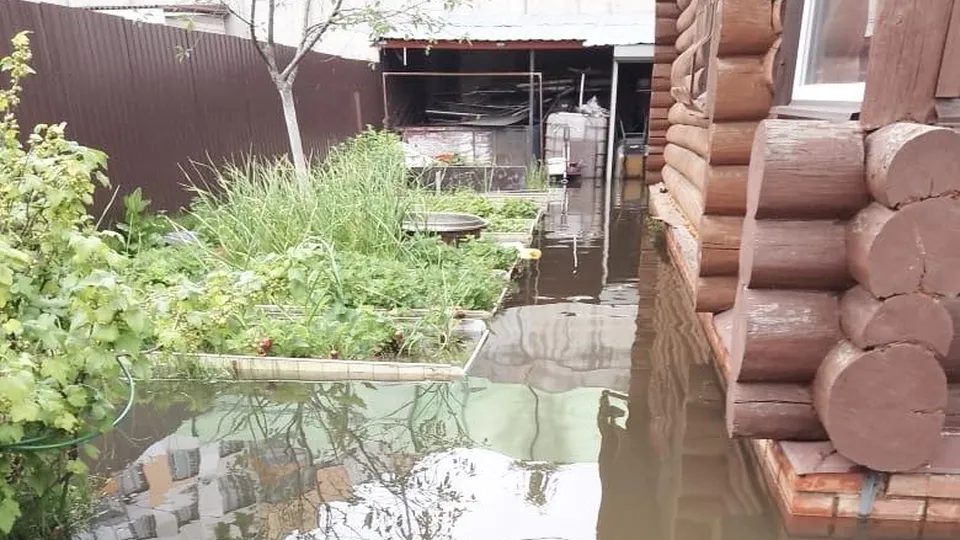 Фото: Ирина Мальцева