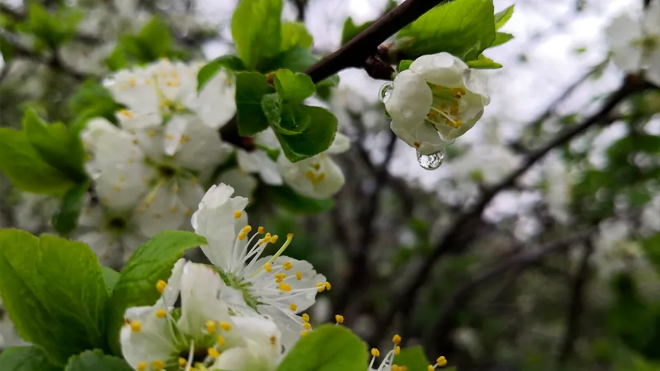 Фото: личный архив Евгения Мазепова