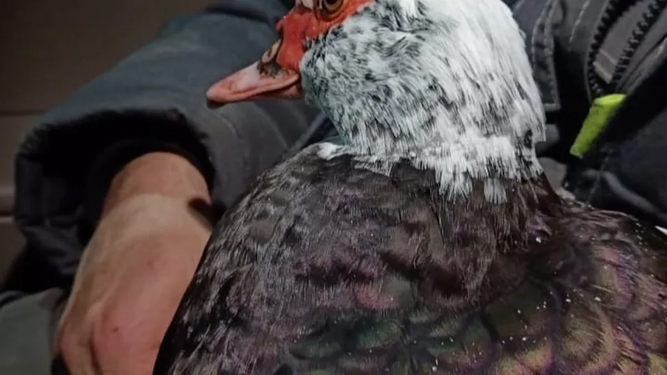 Фото: Наталья Ананьева