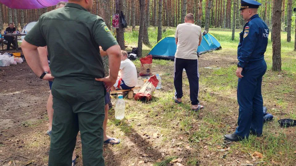 Фото: Комитет лесного хозяйства Московской области