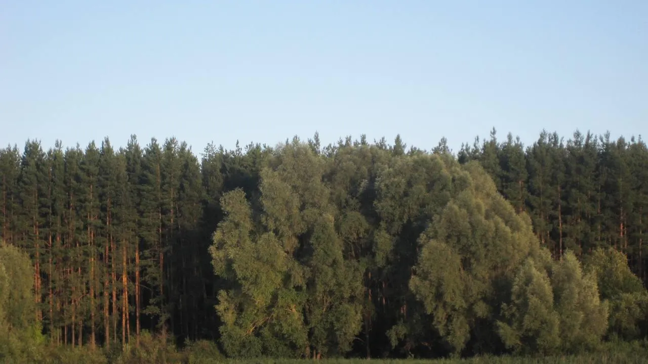 Фото: Карпова С.А.