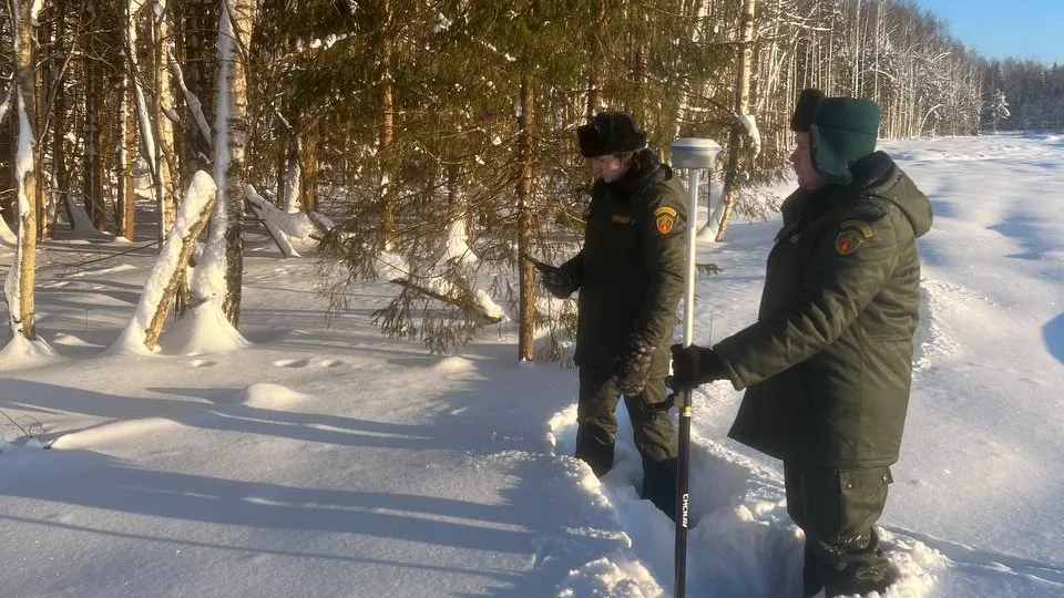 ГКУ МО «Мособллес»