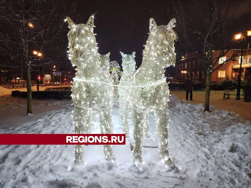 Фото: Мария Андрюхина