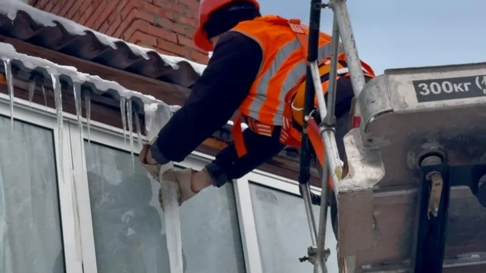 Фото: МедиаБанк Подмосковья/Татьяна Рунова