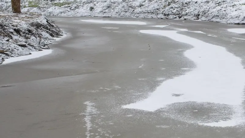 Министерство экологии и природопользования Московской области