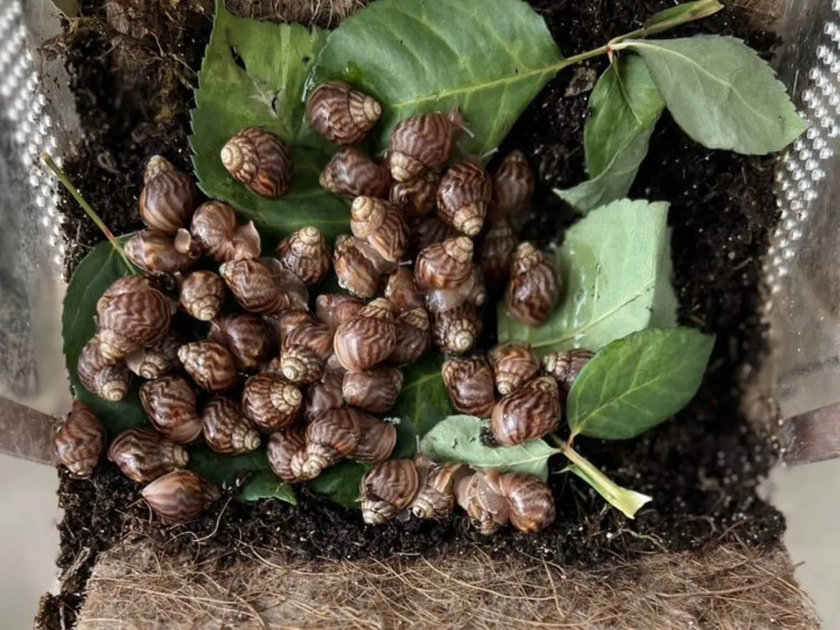 Фото: городская доска объявлений