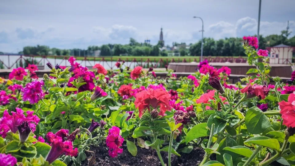 Фото: Ольга Антонова