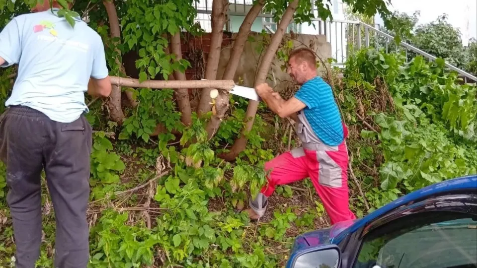 Фото: Министерство по содержанию территорий и государственному жилищному надзору