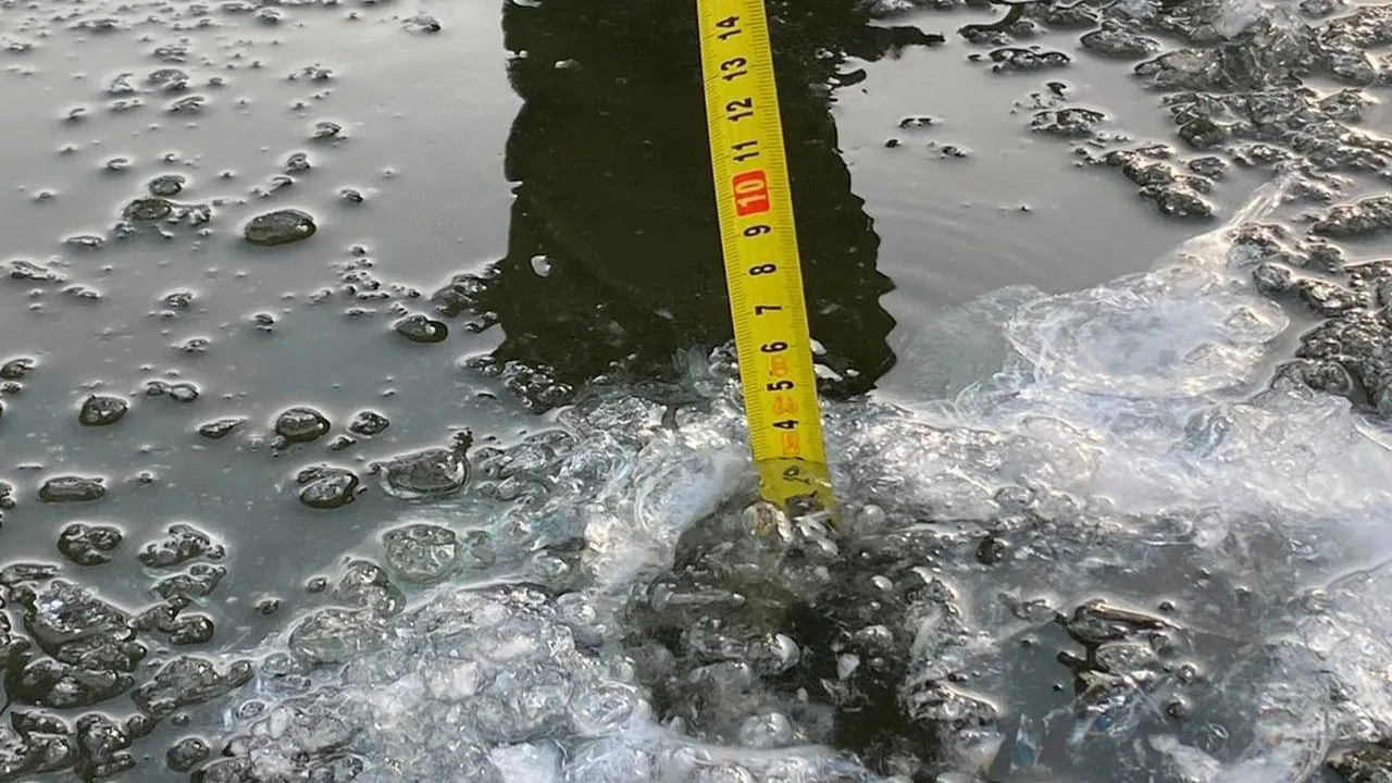 Фото: пресс-служба ГКУ МО «Мособлпожспас»