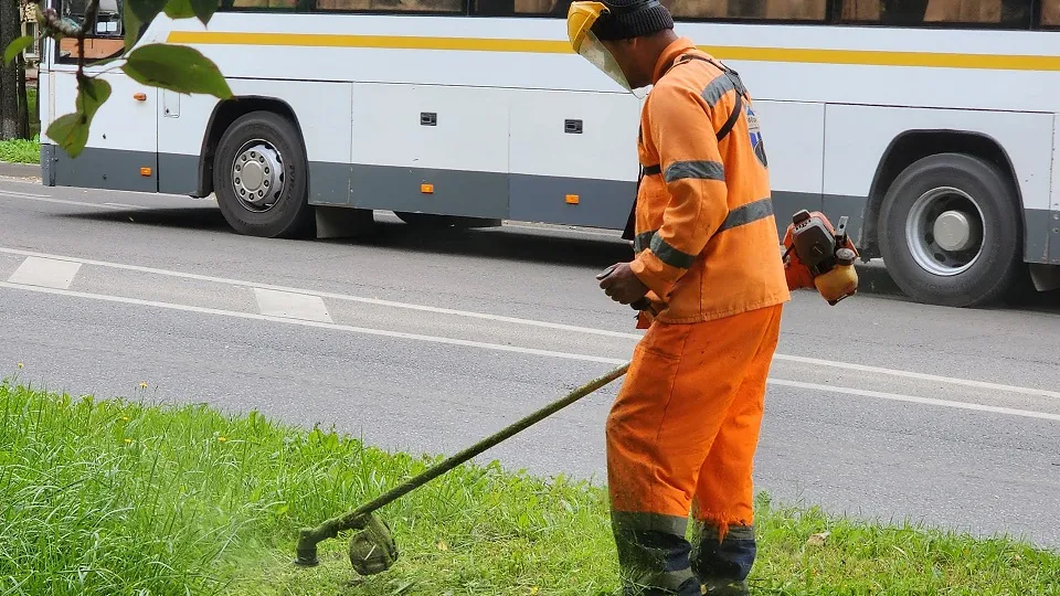 Фото: Медиабанк Подмосковья/Дмитрий Алексеенко