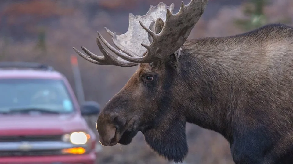 Фото: istockphoto.com