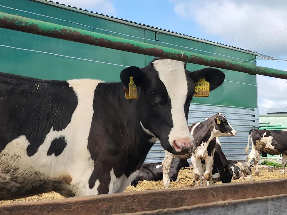 Фото: REGIONS/Валерий Гореловский