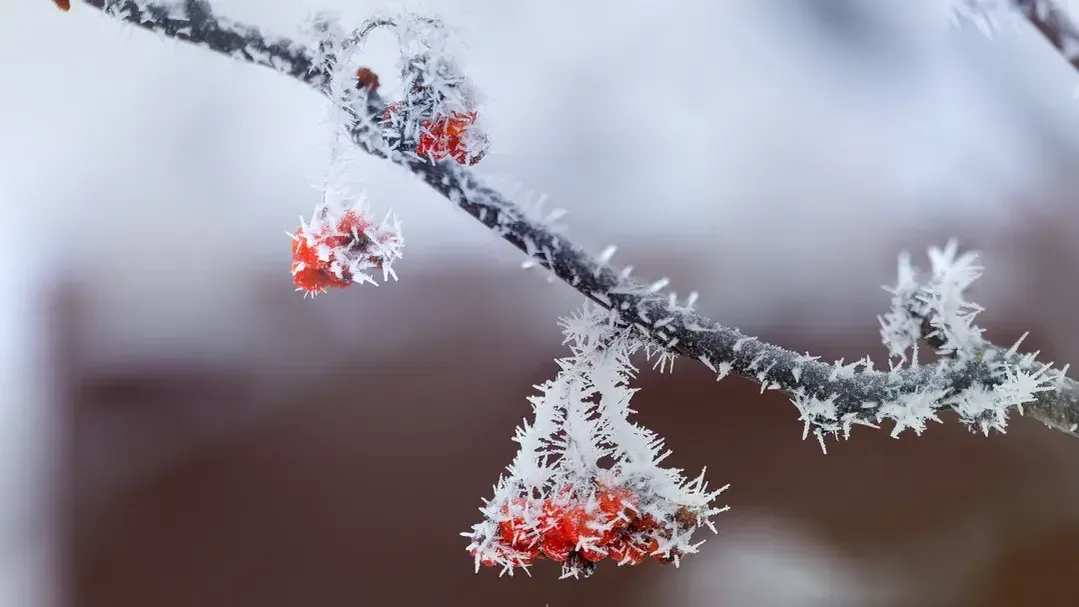 медиасток.рф