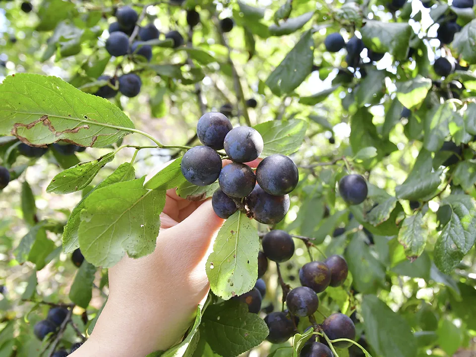 Фото: REGIONS/Наталья Бычкова