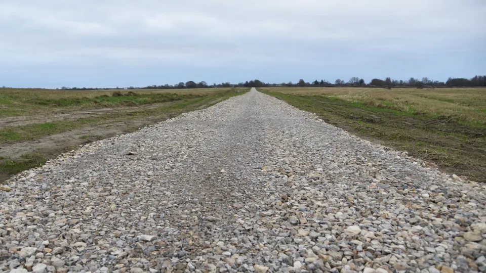Фото: МедиаБанк Подмосковья/Владимир Останин