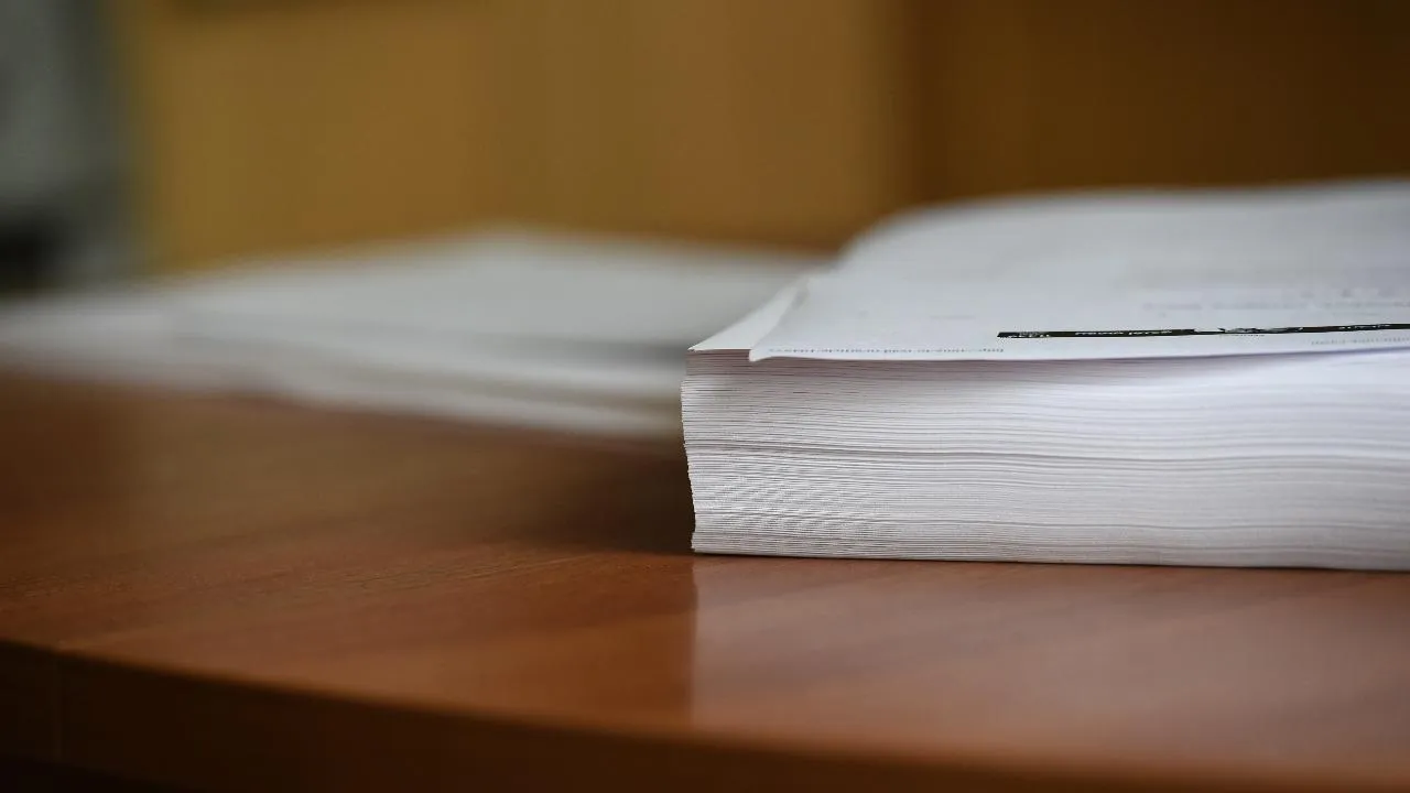 В мероприятиях МСЭФ РФ приняли участие более 25 тыс. человек