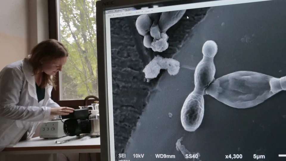 Фото: ТАСС/Михаил Метцель