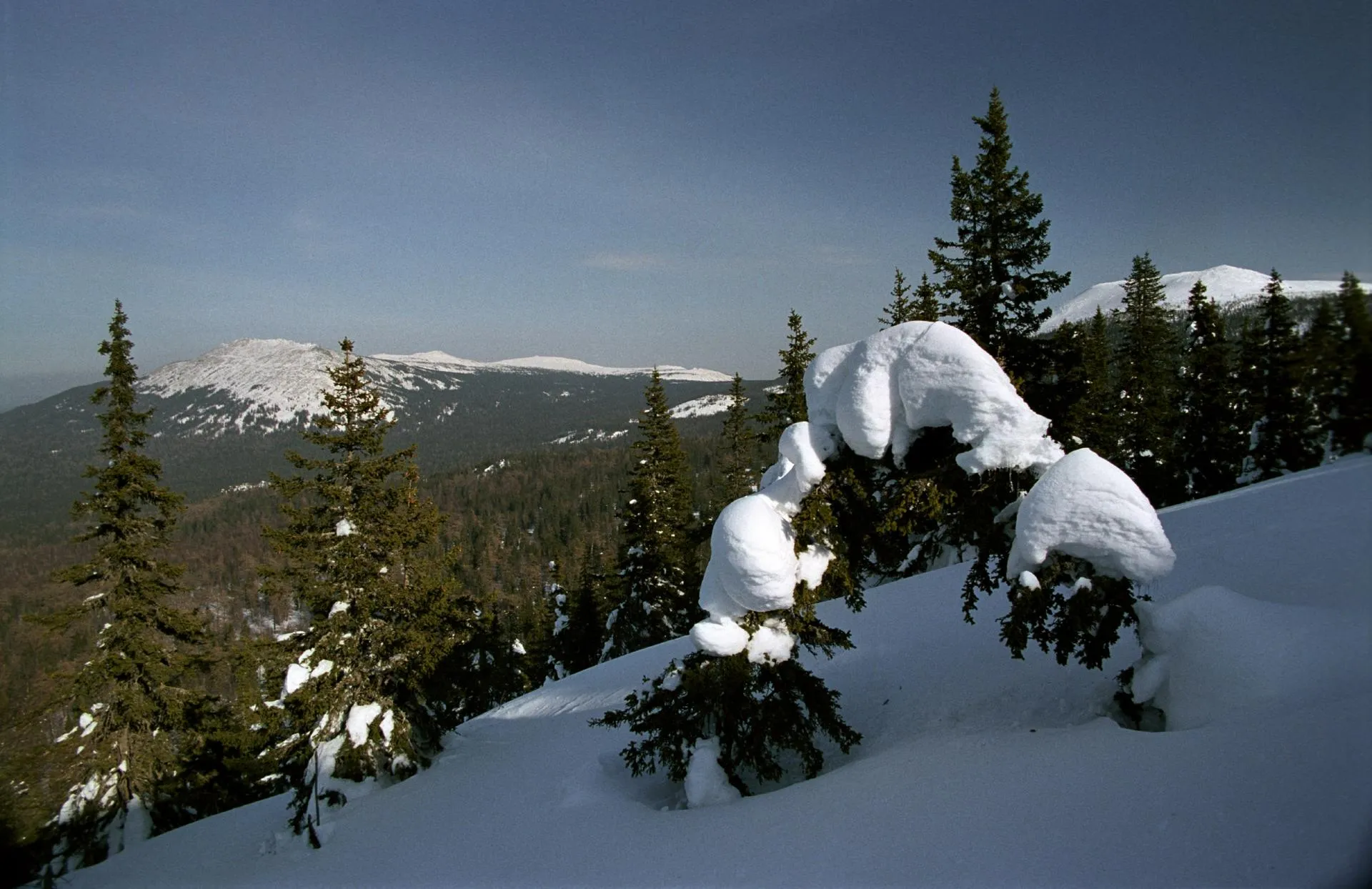 Valery Lukyanov/Russian Look