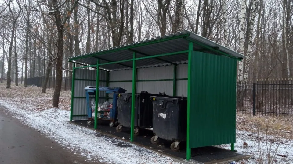 Фото: пресс-служба администрации г.о. Кашира