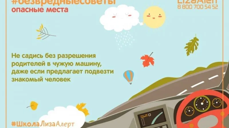Поисковый отряд "Лиза Алерт"/vk.com