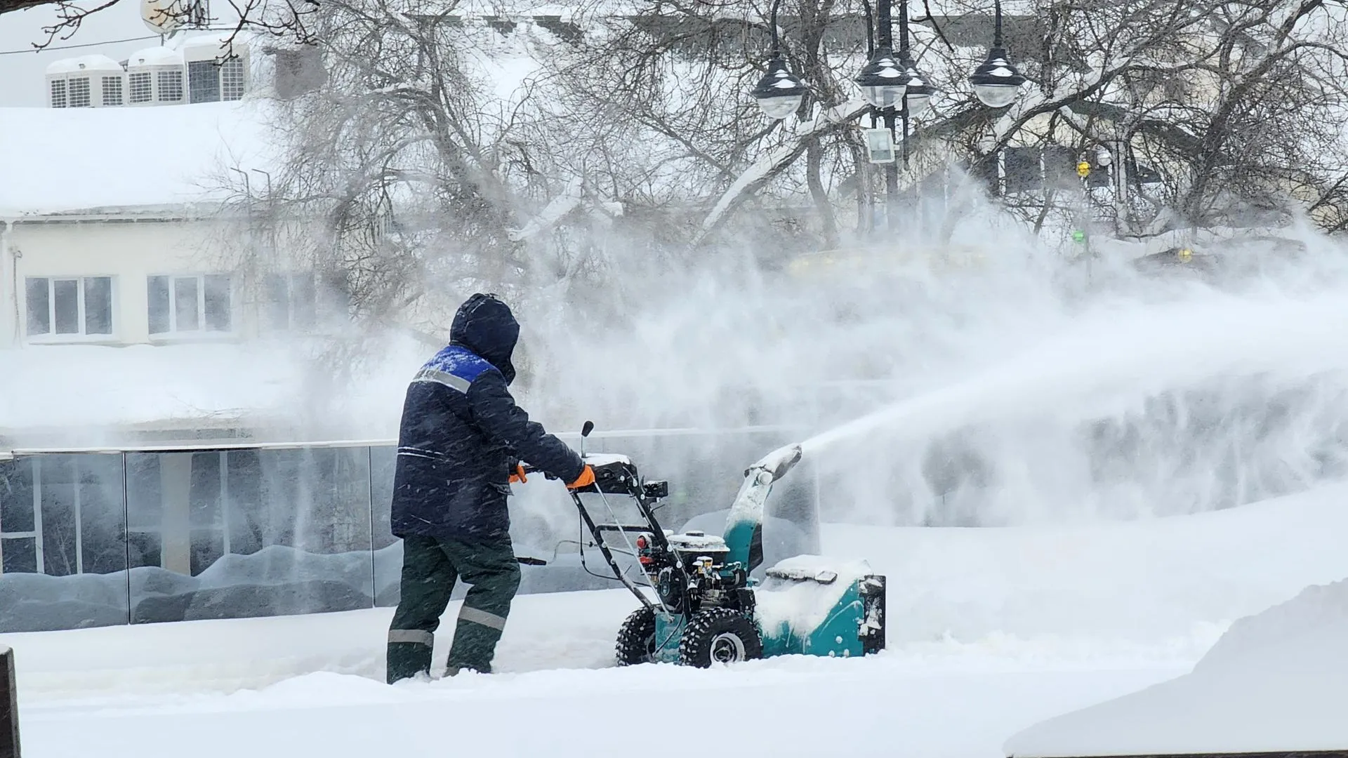 МедиаБанк Подмосковья/Ольга Аввакумова