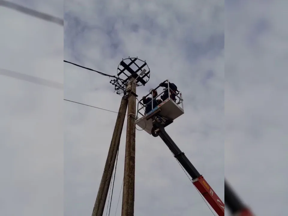 Фото: t.me/secret_lotoshino