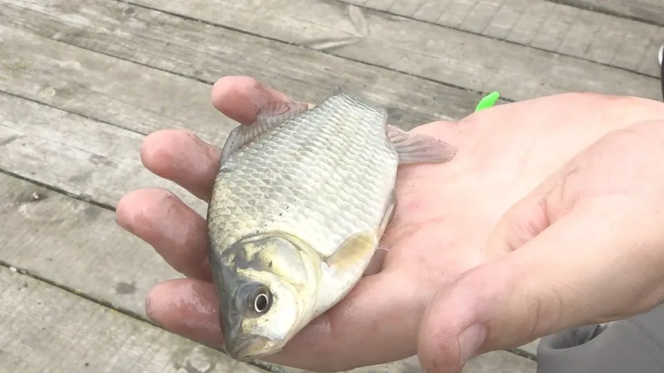 Фото: Наталия Надточая