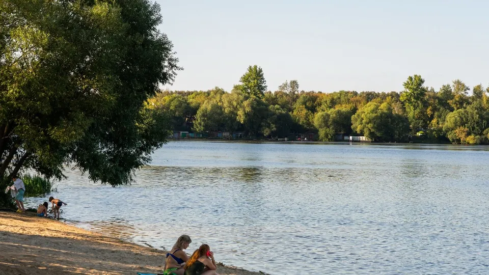 Фото: медиасток.рф