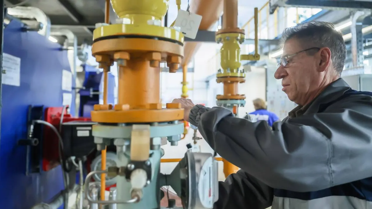 Фото: пресс-служба губернатора и правительства Московской области