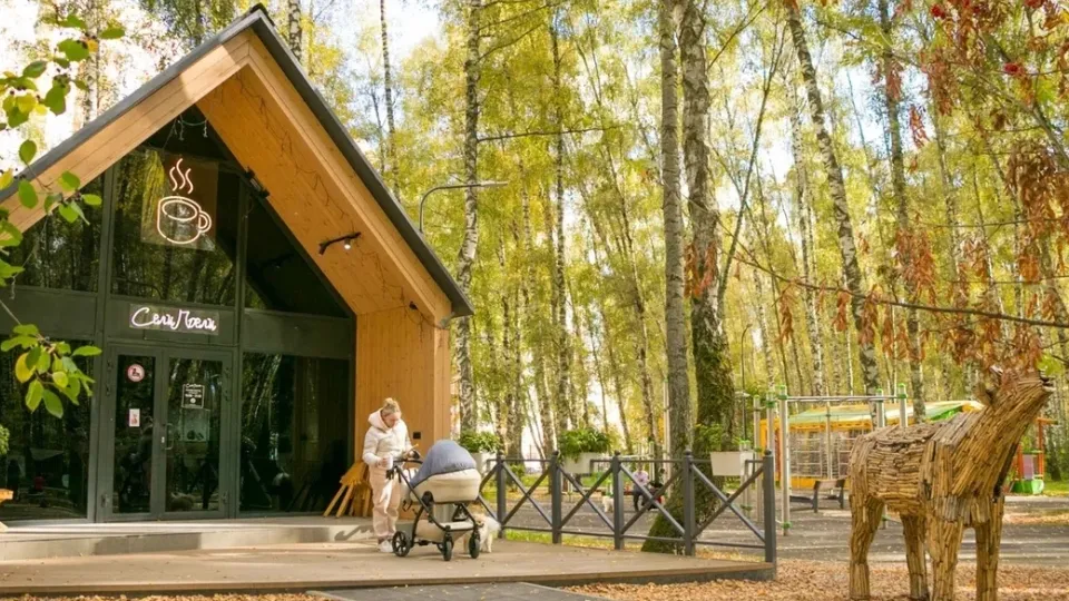 Фото: Парки г.о. Домодедово