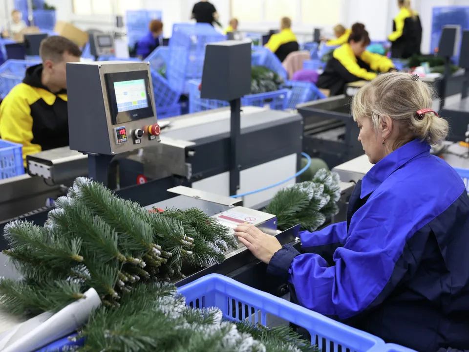 Фото: РИА Новости/Виталий Тимкив